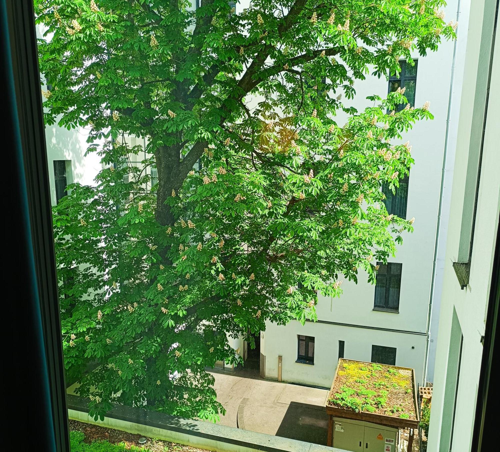 Mercure Hotel Berlin Wittenbergplatz Esterno foto